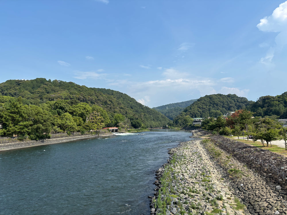 What Makes Uji So Special for Matcha?