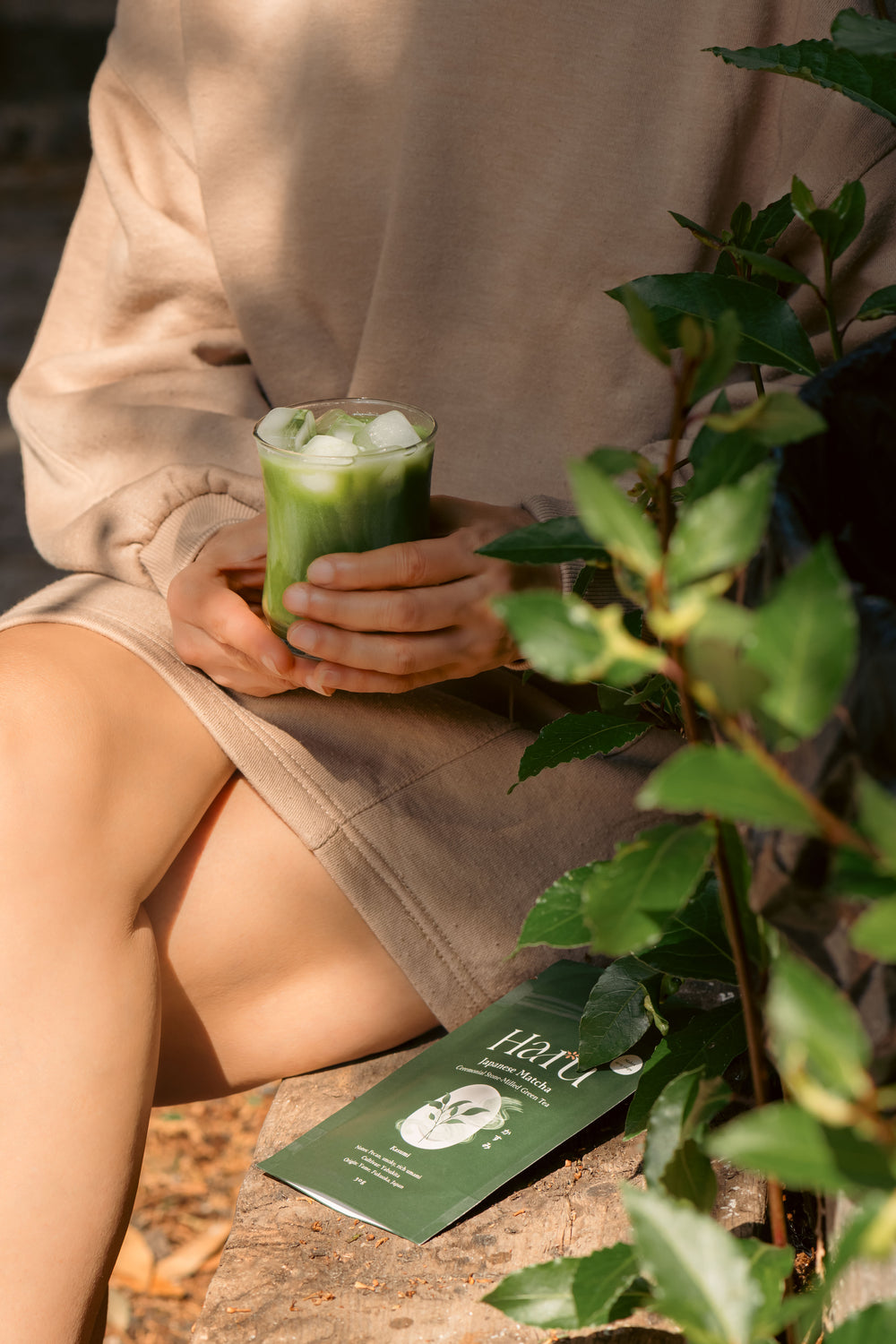 Person holding Kasumi matcha latte with ice and a green leafy plant, sitting on a stone surface.
